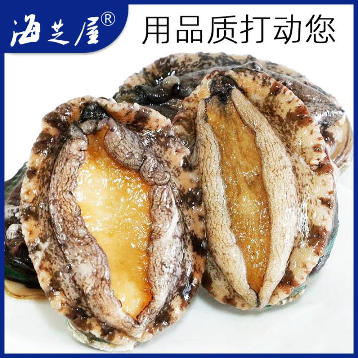 新鮮熟凍大鮑魚(yú):鎖住鮮美的秘密_貝類(lèi)