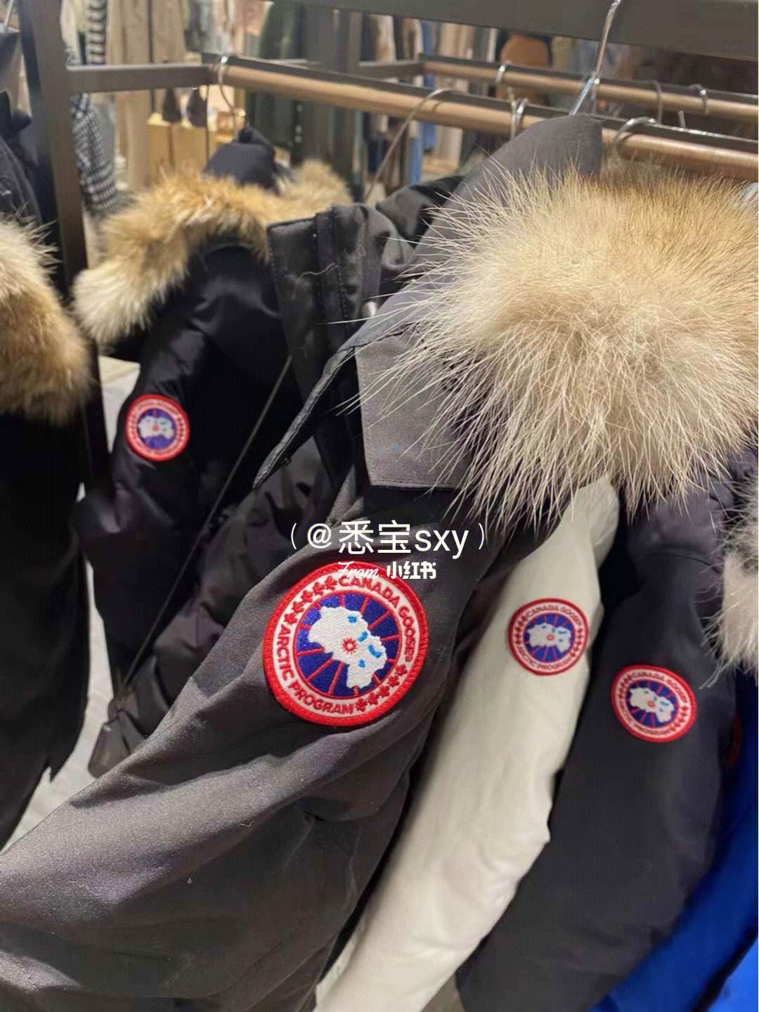 加拿大鵝羽絨服曬單&官方尺碼選擇指導