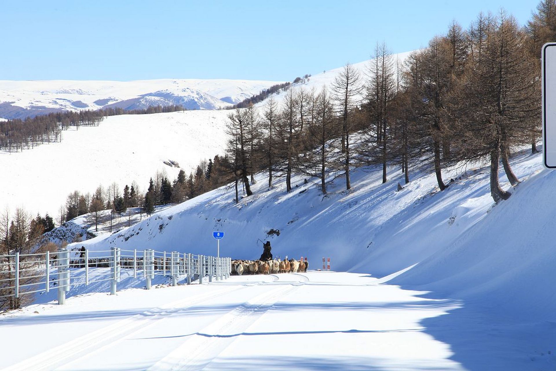 亞布力滑雪場(chǎng):中國(guó)滑雪勝地的璀璨明珠