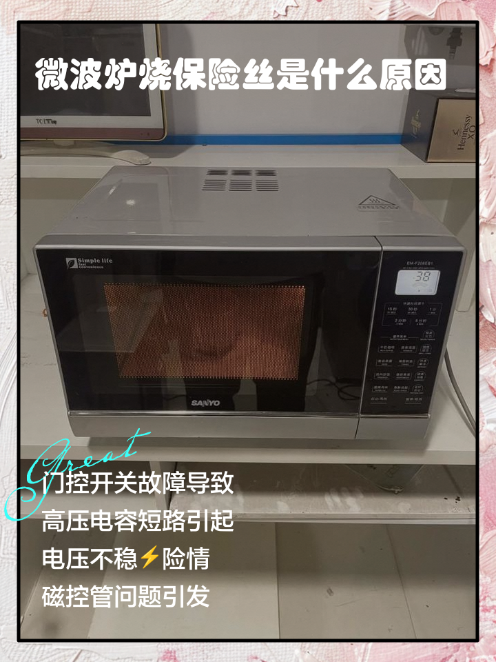 2025年5月2日 第5頁