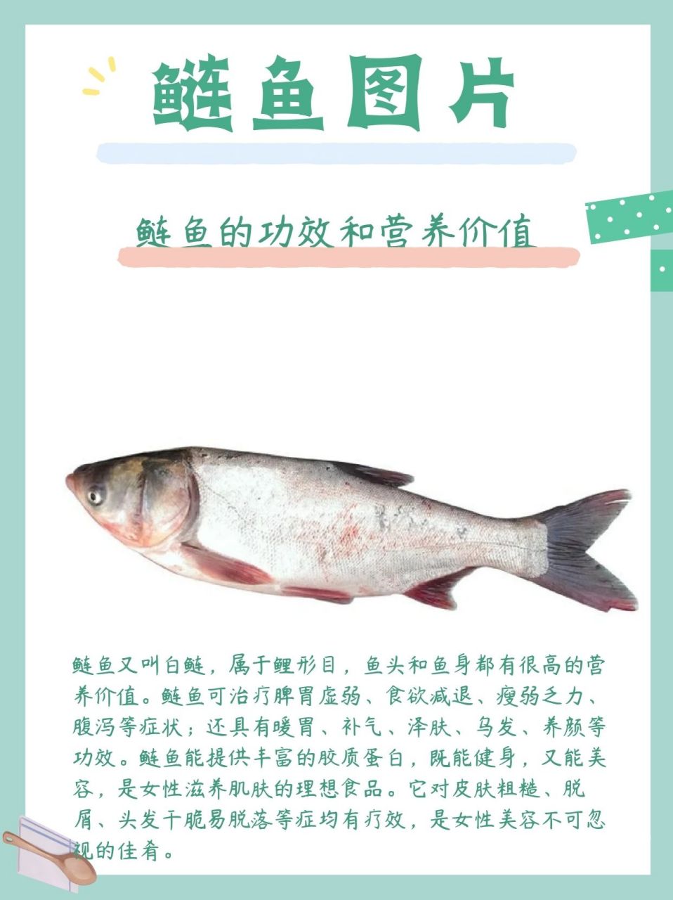 中潤魚白鰱魚頭,鮮美滋味擋不住_魚類