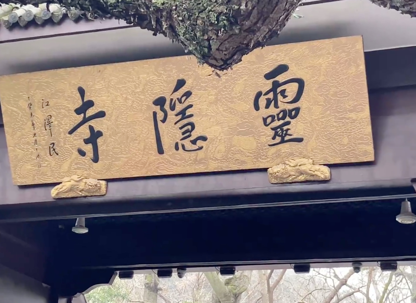 一“田”字旁,右邊一個“寺”。是個什么字啊