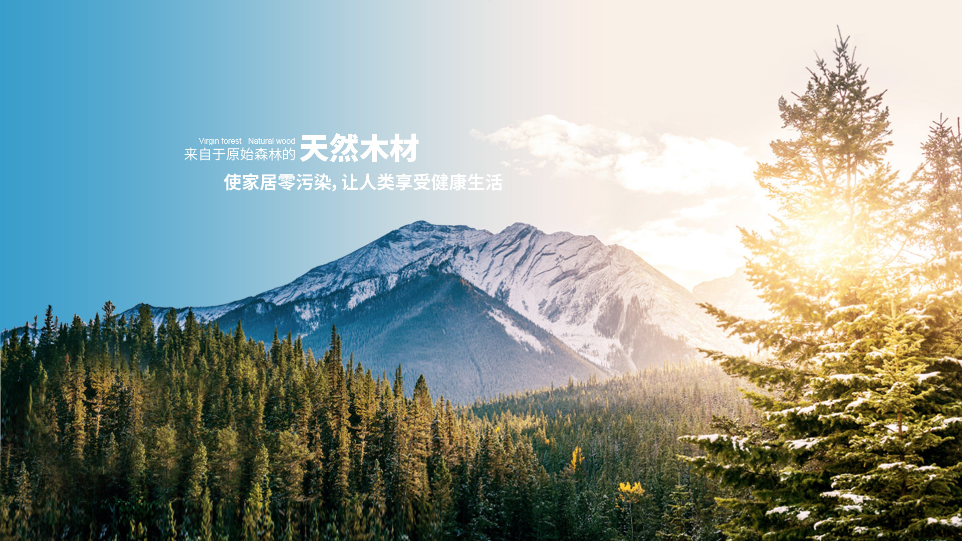 禾木是一種什么木能做家具嗎