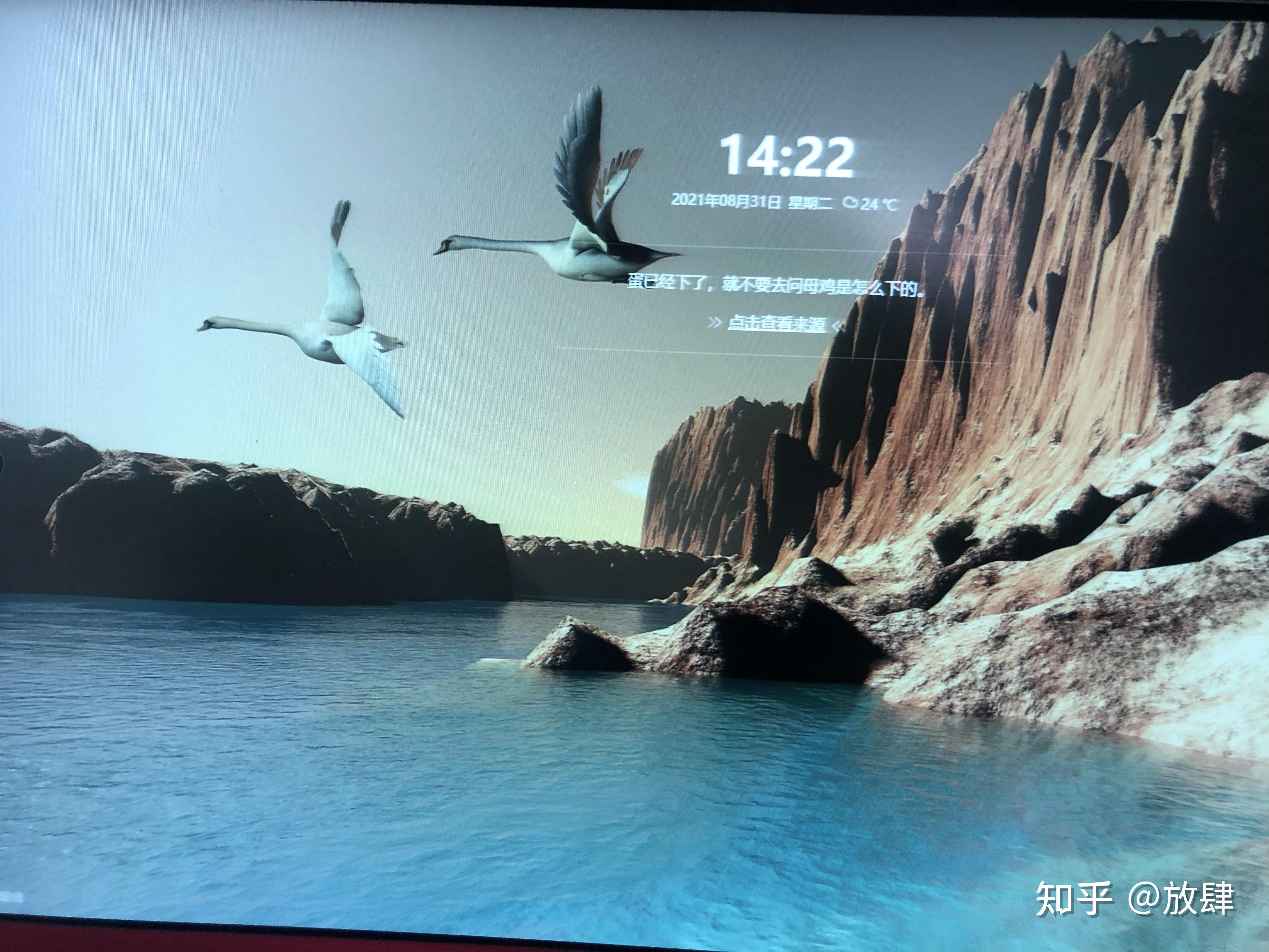 【360畫報(bào)怎么用】360畫報(bào)好不好_使用技巧