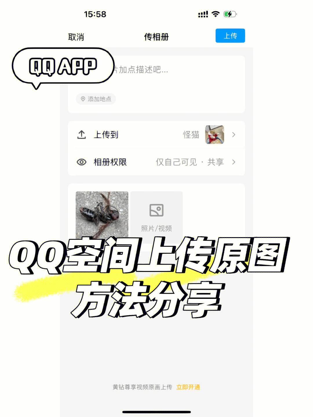 我QQ空間進(jìn)不了,說被多人舉報(bào),無法打開怎么處理