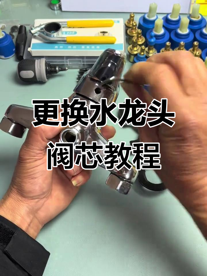 閆巧凡