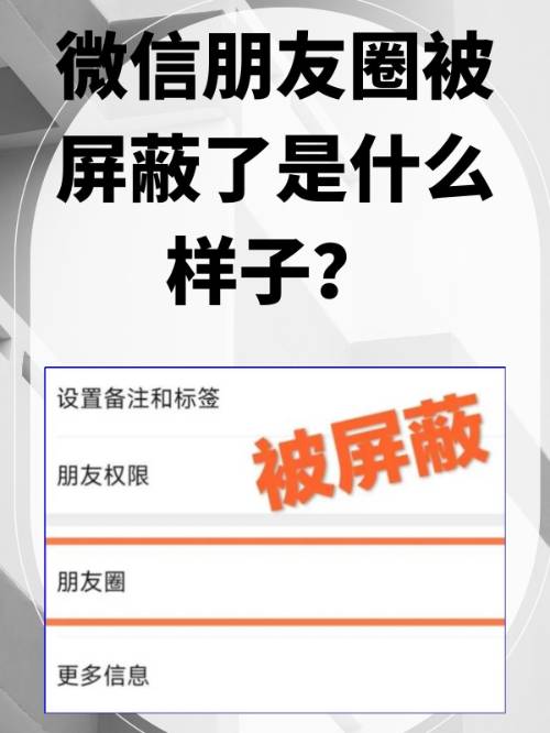 為什么微信沒有朋友圈??設(shè)置,通用里頭也沒有?