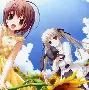 【緣之空下載】緣之空TV版_安卓電視版官方免費(fèi)下載