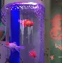 【魚(yú)缸計(jì)算器】魚(yú)缸計(jì)算器1.01綠色免費(fèi)版