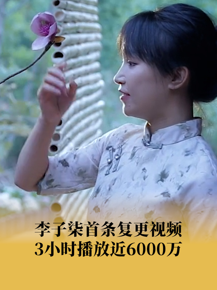 李子柒回歸視頻引網(wǎng)友爭(zhēng)議:割了雙眼皮_業(yè)界資訊