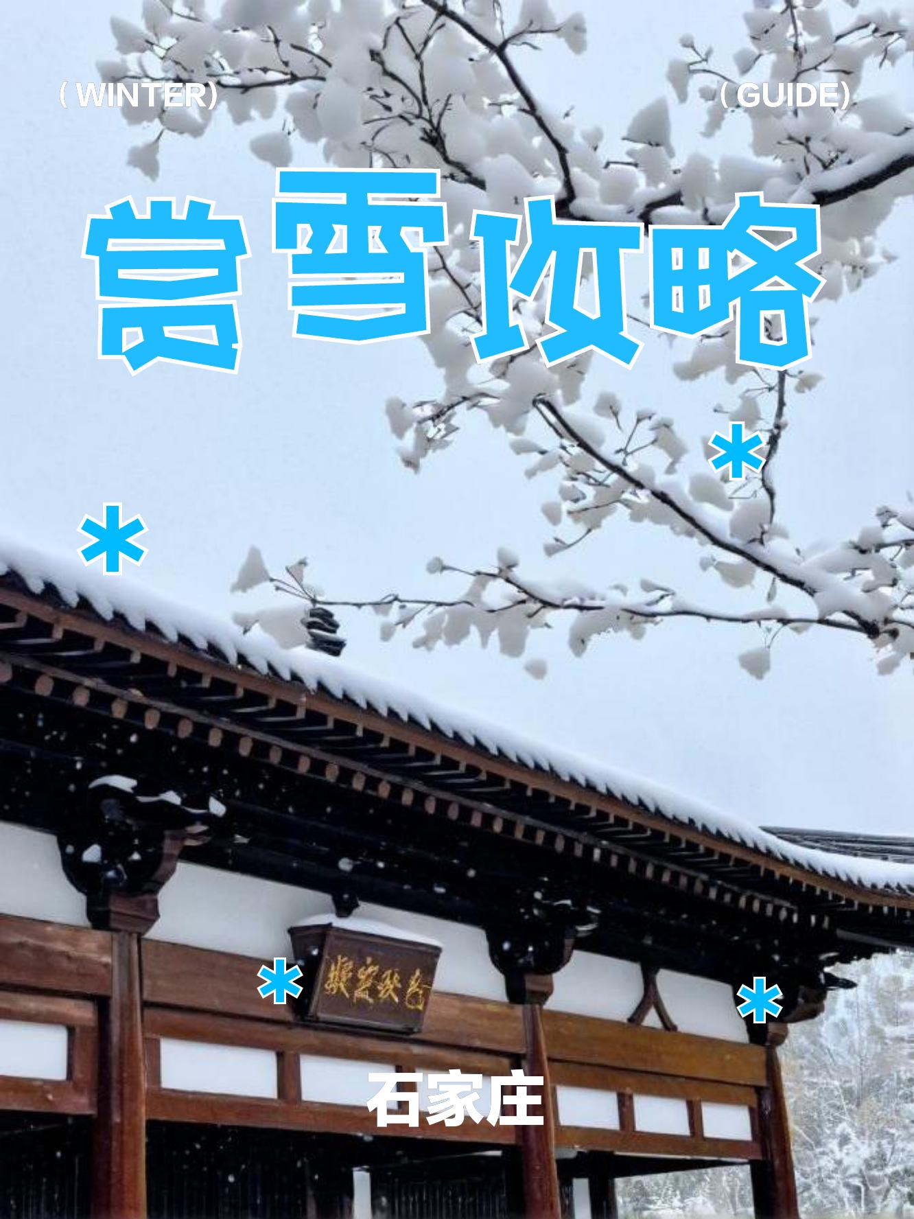 下雪了。石家莊下的雪。比京城的要大。攝影論壇