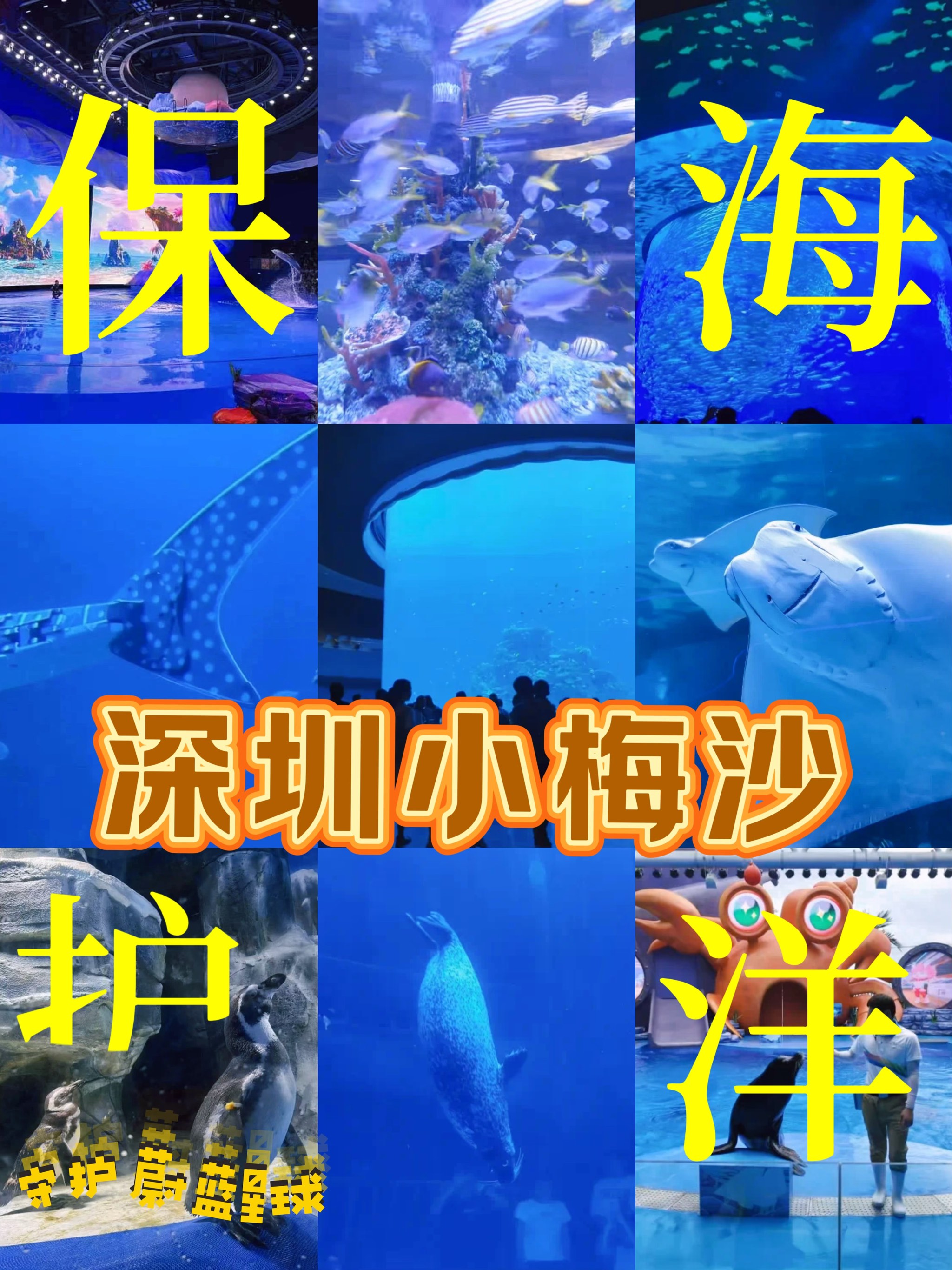 深圳的大梅沙、小梅沙要門票嗎?價(jià)錢一張呀?
