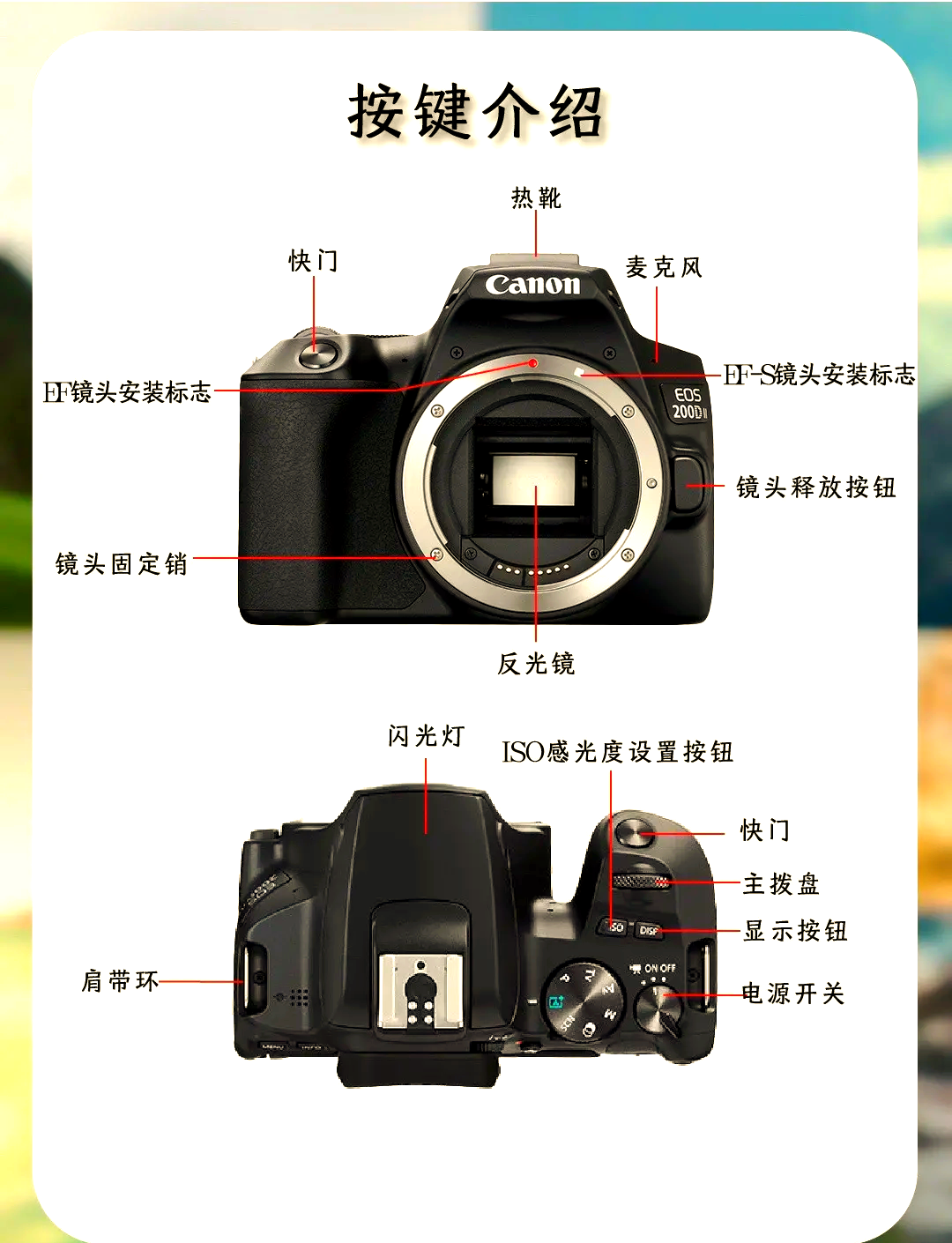 佳能7d2和80d更推薦哪個-佳能7DMarkII