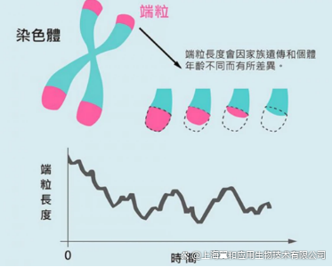 2025年6月28日 第2頁