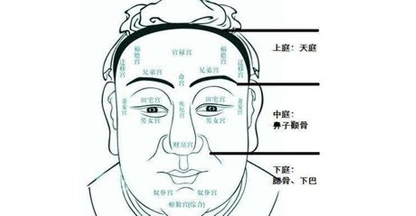 耳朵尖的面相運勢優(yōu)點22條兩耳都比較尖:官運亨通