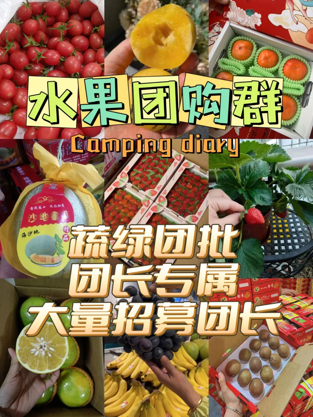 社區(qū)團(tuán)購怎么做?學(xué)會這個7天招募100團(tuán)長!