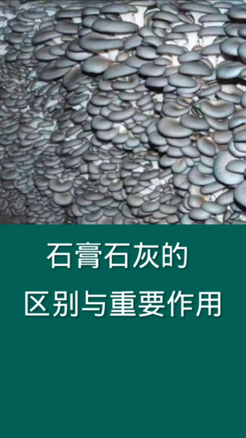 生石膏和熟石膏的區(qū)別化學(xué)名稱以及它們的用途
