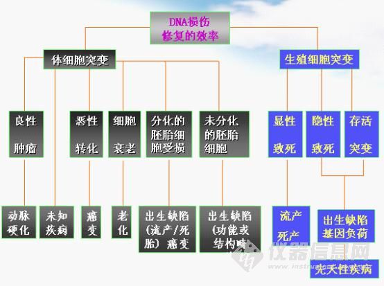 什么是細(xì)胞毒性試驗(yàn)?細(xì)胞毒性檢測(cè)具體包括哪些內(nèi)容?