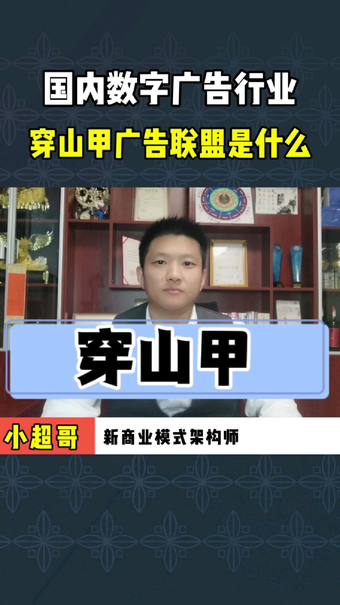 什么是穿山甲廣告?廣告聯盟搭建看廣告賺錢的軟件