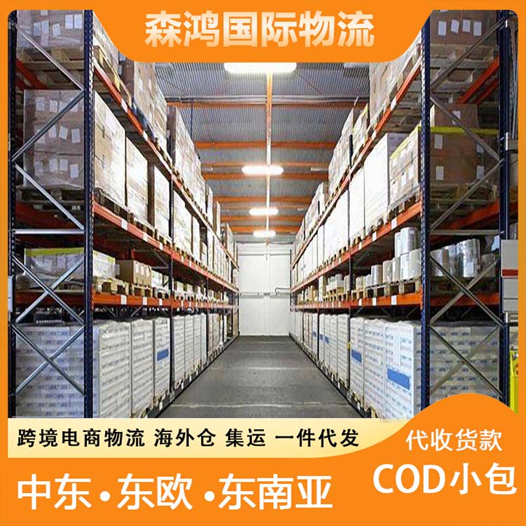 波蘭COD小包跨境電商物流海外倉一件代發(fā)波蘭COD快遞