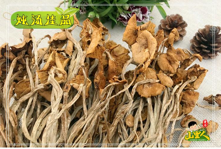 特級干茶樹菇茶干貨樹菇特產(chǎn)天然茶樹菇特產(chǎn)綠色食品