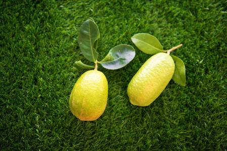 啶嘧磺隆Flazasulfuron暖季草坪農(nóng)藥視頻
