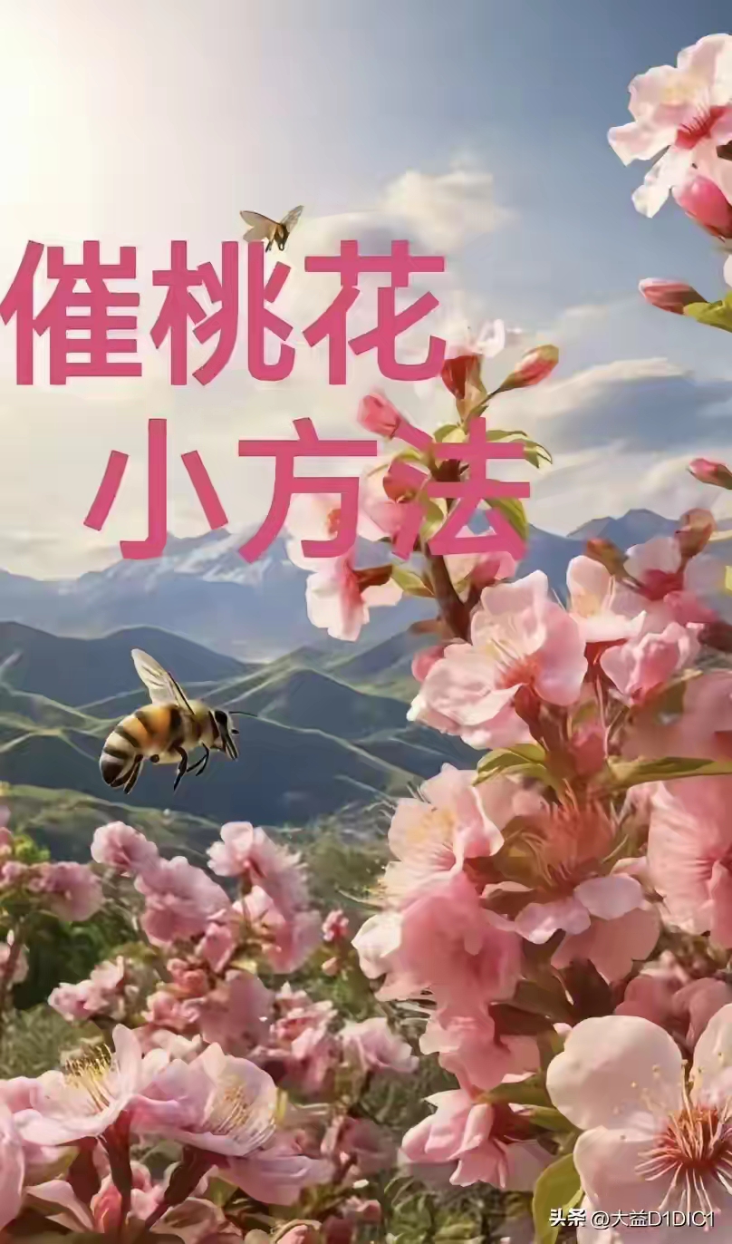 桃花運(yùn)來(lái)的征兆怎么知道自己的桃花運(yùn)什么時(shí)候才能來(lái)