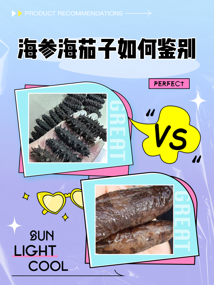 批發(fā)海參茄子參/海茄子/大號烏參1斤12頭左右1件=1斤