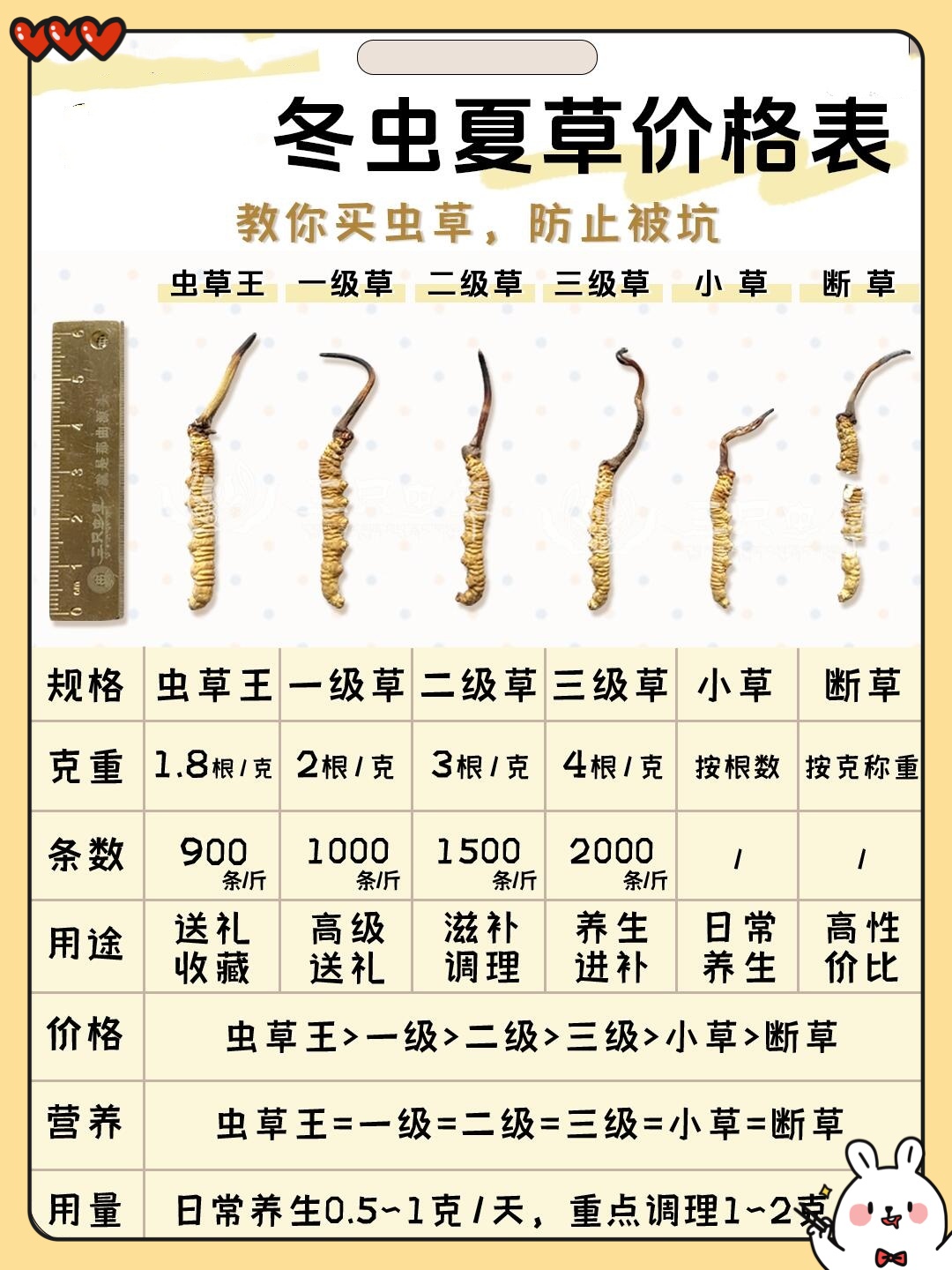 冬蟲夏草需要怎樣才能在電商平臺(tái)上售賣?需要什么資質(zhì)嗎?