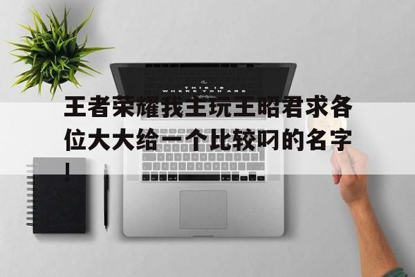 王者榮耀我主玩王昭君求各位大大給一個(gè)比較叼的名字!